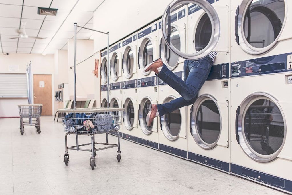 Gratisography באתר PEXELS פתרונות כביסה מתקדמים: היתרונות של מייבש כביסה גז בעידן המודרני